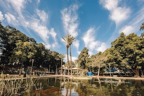 Vista frontal de la propiedad