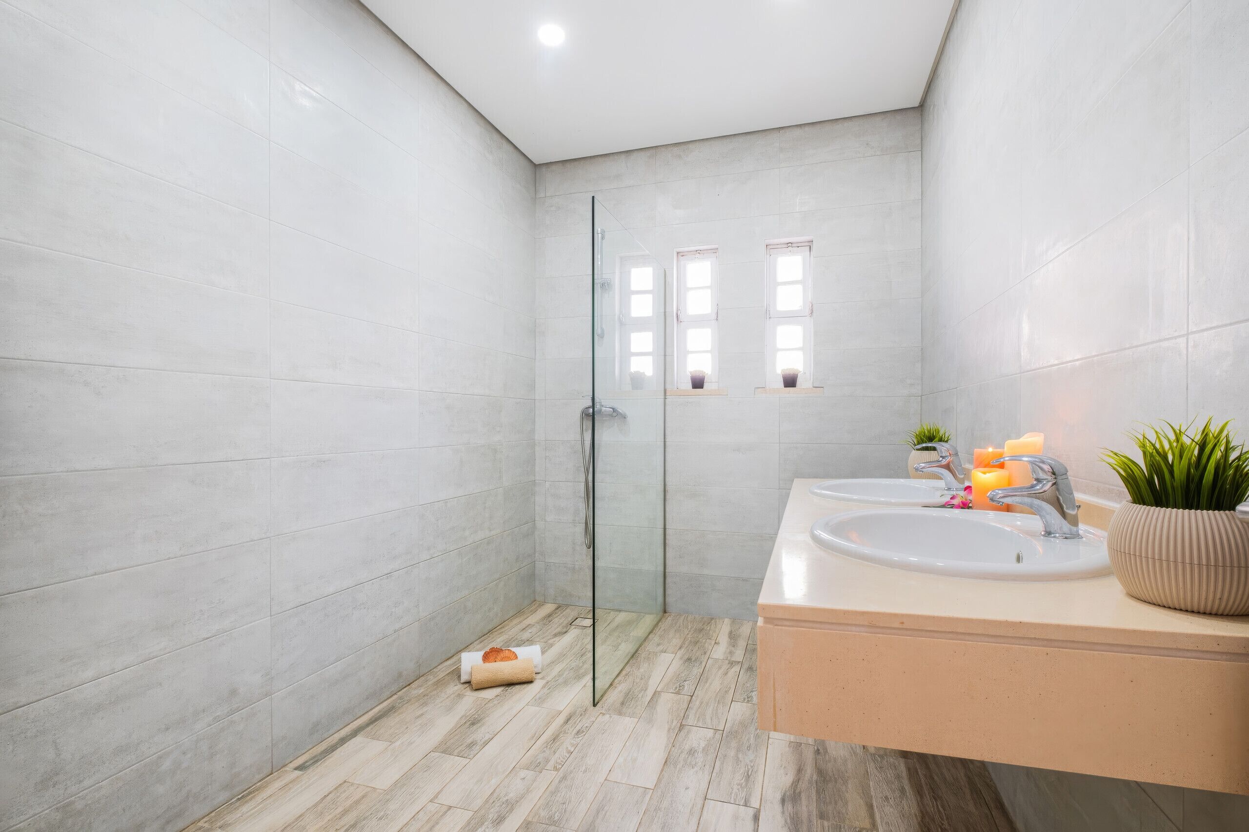 Een moderne badkamer met een glazen douchecabine, een wastafel met twee wasbakken en een potplant.