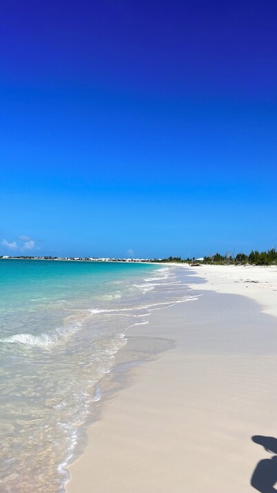 Fabulous beachfront condo 