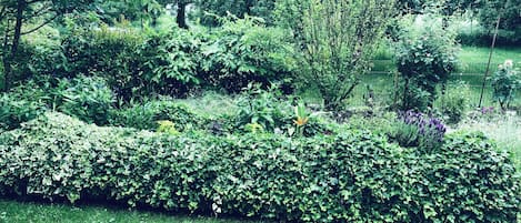 Jardines del alojamiento
