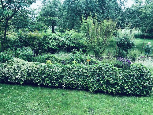 Ferienwohnung Grüner