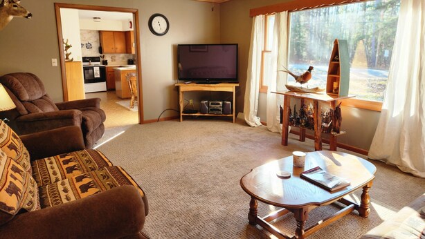 A cozy living room with a fireplace, a television, and a view of the outdoors. - Sutter Northwoods Home (Eagle River)