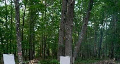 Sutter Northwoods Home