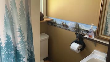 Hair dryer, towels, soap, toilet paper