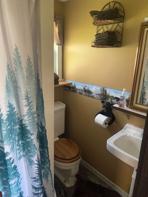 Hair dryer, towels, soap, toilet paper