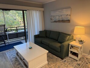TV - Gorgeous 1 Bedroom Condo (Horry County)