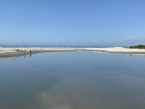 Beach - Gorgeous 1 Bedroom Condo (Horry County)