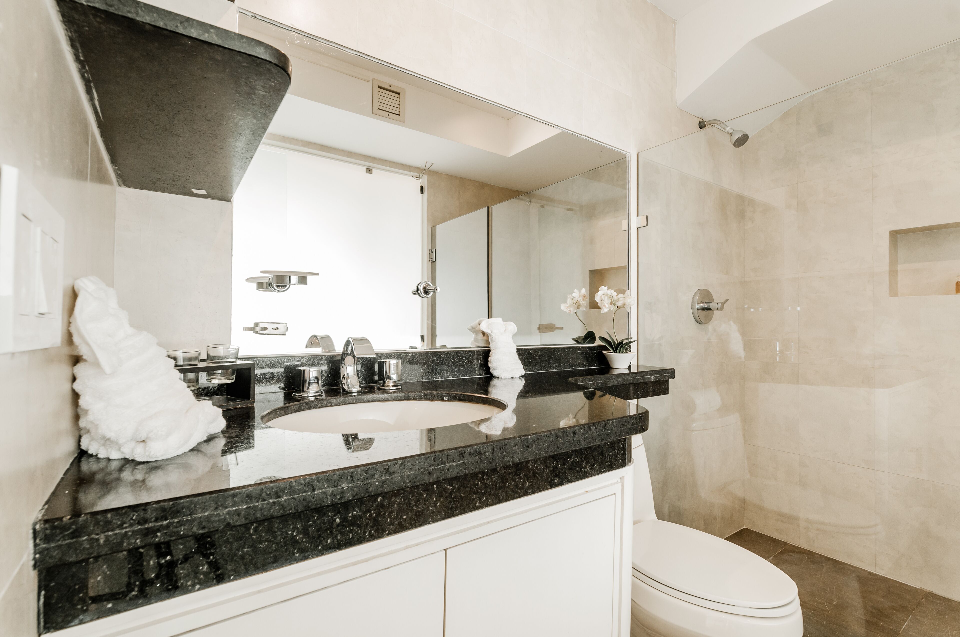 Un baño moderno con un lavabo de granito negro, inodoro blanco y ducha con mampara de vidrio.