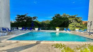 Ein rechteckiger Swimmingpool mit klarem, blauem Wasser, umgeben von blauen Liegestühlen und Topfpflanzen.