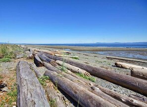 A beach with driftwood and logs, clear skies, and distant mountains. - Oceanfront Studio with Loft - amazing views! (Qualicum Beach)