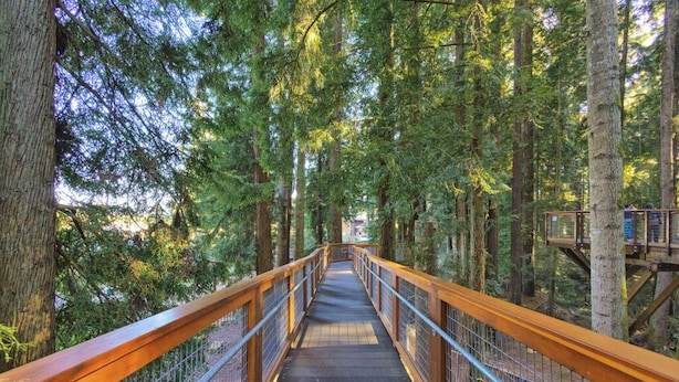 Un pont piétonnier en bois, situé dans une forêt, avec des garde-corps en métal et une passerelle en bois.