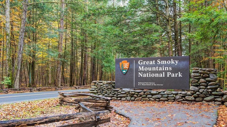 Tucked Inn 2101 by Jackson Mountain Rentals