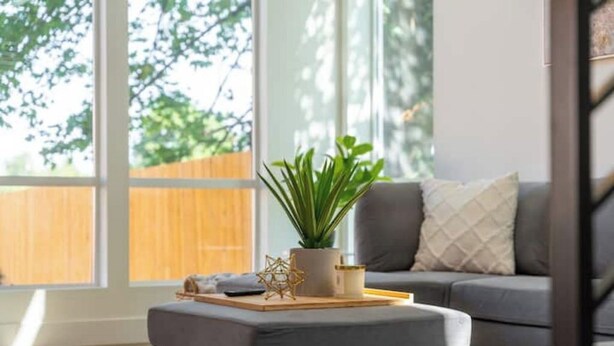 A modern living room with a grey sofa, a small wooden table with a plant and decorative items, and a large window with a view of a wooden fence and trees.