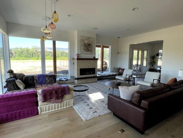 Smart TV, fireplace, books, stereo
