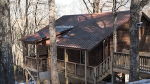 A wooden cabin with a metal roof, surrounded by trees and covered in snow.