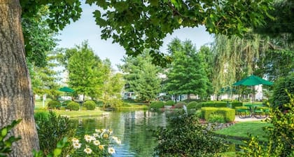 Diamond Resorts The Suites at Fall Creek - Studio