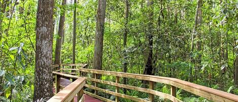 Overnattingsstedets uteområder