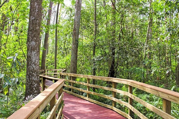 Eine Holzbrücke in einem Wald voller üppiger Vegetation.