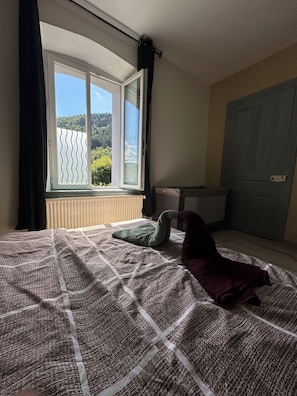 2 bedrooms, iron/ironing board, travel crib, free WiFi