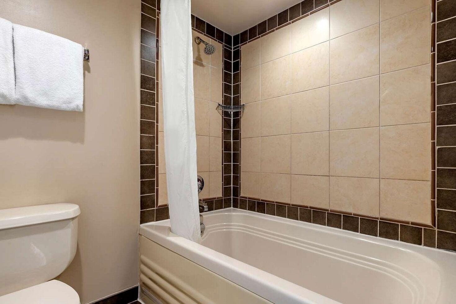 Une salle de bain avec une baignoire, une douche et des toilettes.