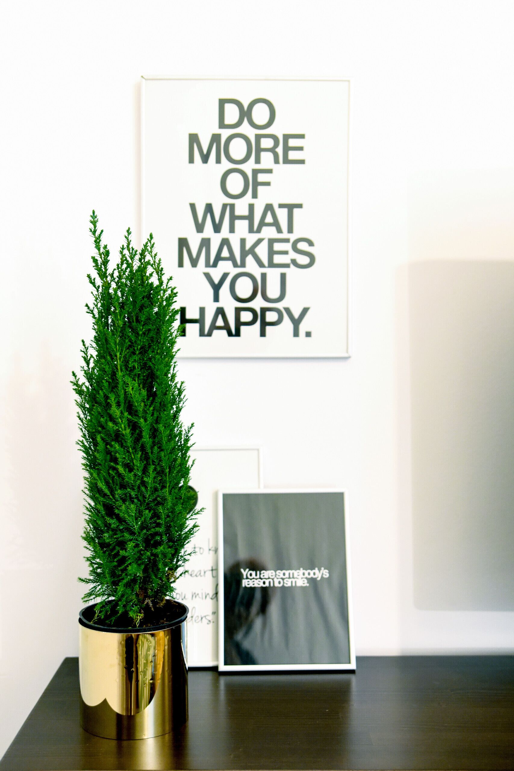 A framed inspirational quote on a wall, a potted plant, and a framed picture with a motivational message.