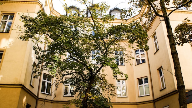 A multi-story building with a tree in front. - Bonerowska 3/48 (Kraków)