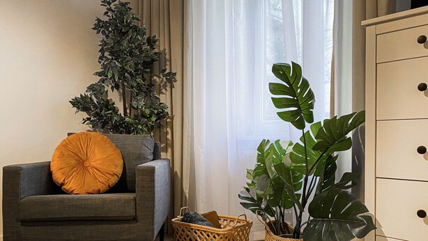 A modern living room with a grey armchair, a large potted plant, a wicker basket, and a white dresser. - Apartment for 4 guests, Wawel & Old Town Krakow II, św. Gertrudy (Kraków)