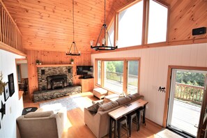 TV, fireplace, video games, DVD player