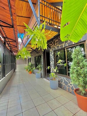 Property grounds - Beautiful BIG Chalet, in the country side of Riveras de Perez Zeledon,Costa Rica (Rivas)