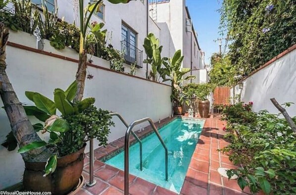 A small outdoor pool with a metal ladder, surrounded by potted plants and a white wall.