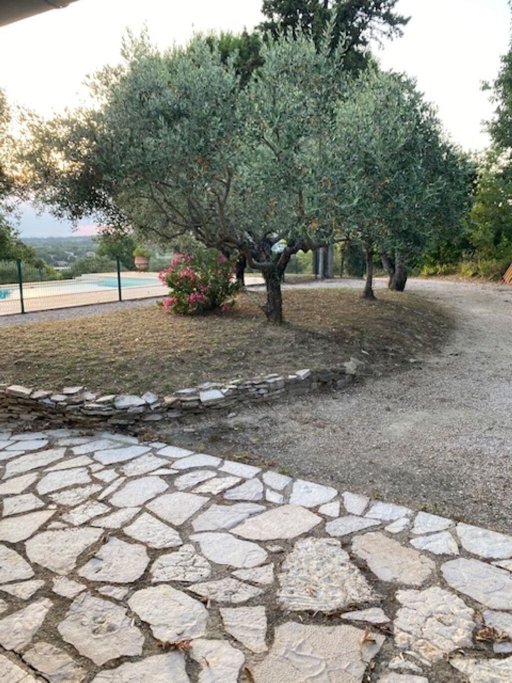 A stone patio with a tree, a pool, and a stone wall.