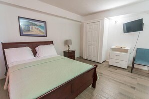 Une chambre à coucher avec un lit, une table de chevet, une lampe, une télévision, une armoire et une porte.