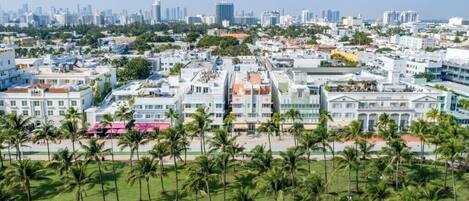 Un paisaje urbano costero con una mezcla de edificios modernos e históricos, palmeras y cielo despejado.