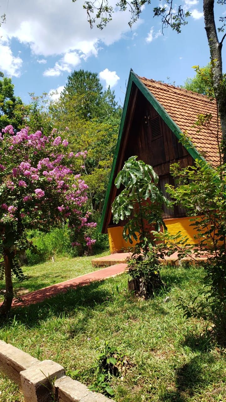 A rustic wooden house with a green roof and a yellow wall, surrounded by lush greenery and flowering bushes.