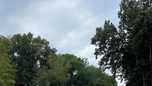 Une plage au bord de la rivière, bordée d’arbres et dotée d’un rivage sablonneux.
