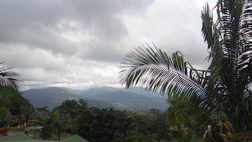 Vista desde la propiedad