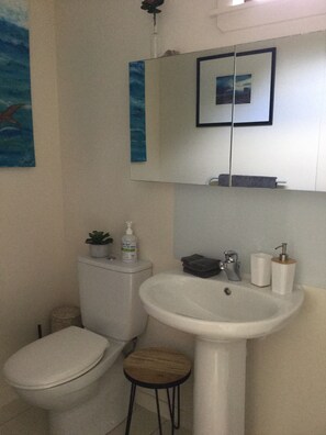 Hårføner, håndklær, såpe og toalettpapir