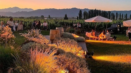 尊荣公寓 | 住宿场地