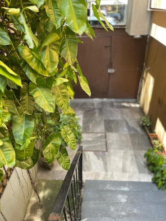 Entrada interior