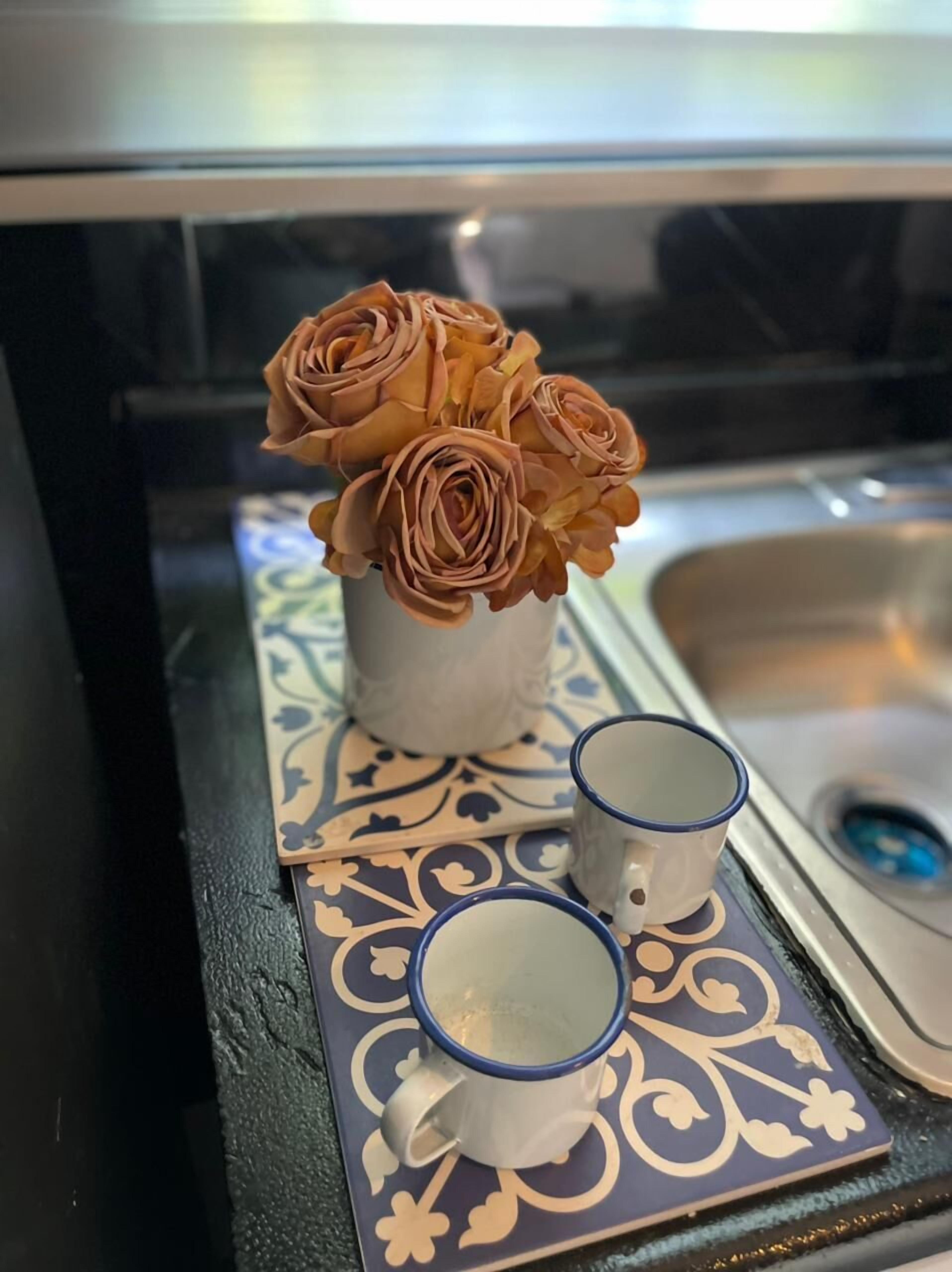 Photo - S27 Backpackers