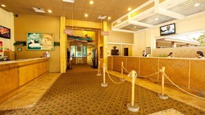 A reception area with a wooden reception desk, a television mounted on the wall, and a patterned carpet.