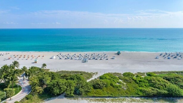 A beach with umbrellas and lounge chairs, palm trees, and a clear view of the ocean.