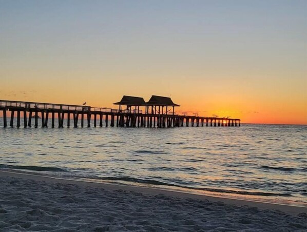 Sun loungers, beach towels - Private Heated Pool-Hot Tub-Fire Pit-Tiki Bar-Large Yard-Great Location! (Naples)