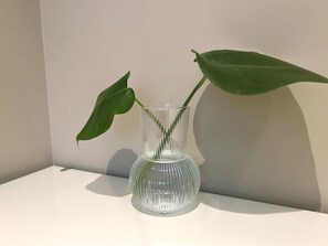 Interior detail - 2Bedroom 1Bath Seperate Entrance Lower-level Quiet, Cofy and Convenience (Burnaby)