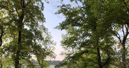 Island View McDonald Lake