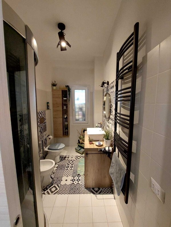 Shower, hair dryer, bidet, towels