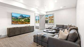TV, fireplace, video game console