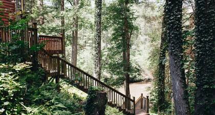 Aska Adventure River Swim and Autumn Escape