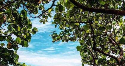 Luxe Golden Hour, Private Pool & Pickleball Court