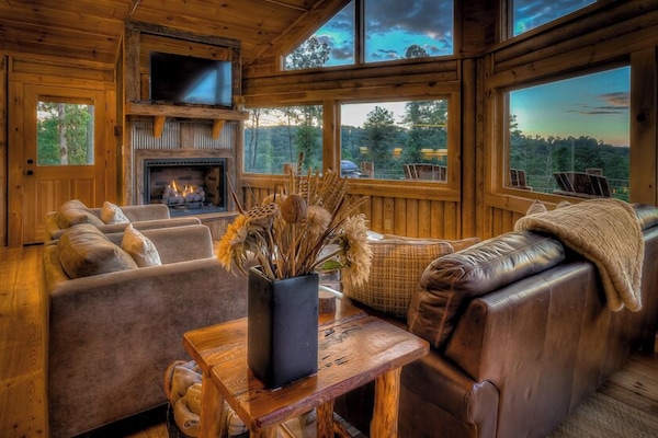 TV, fireplace, video games, ping pong
